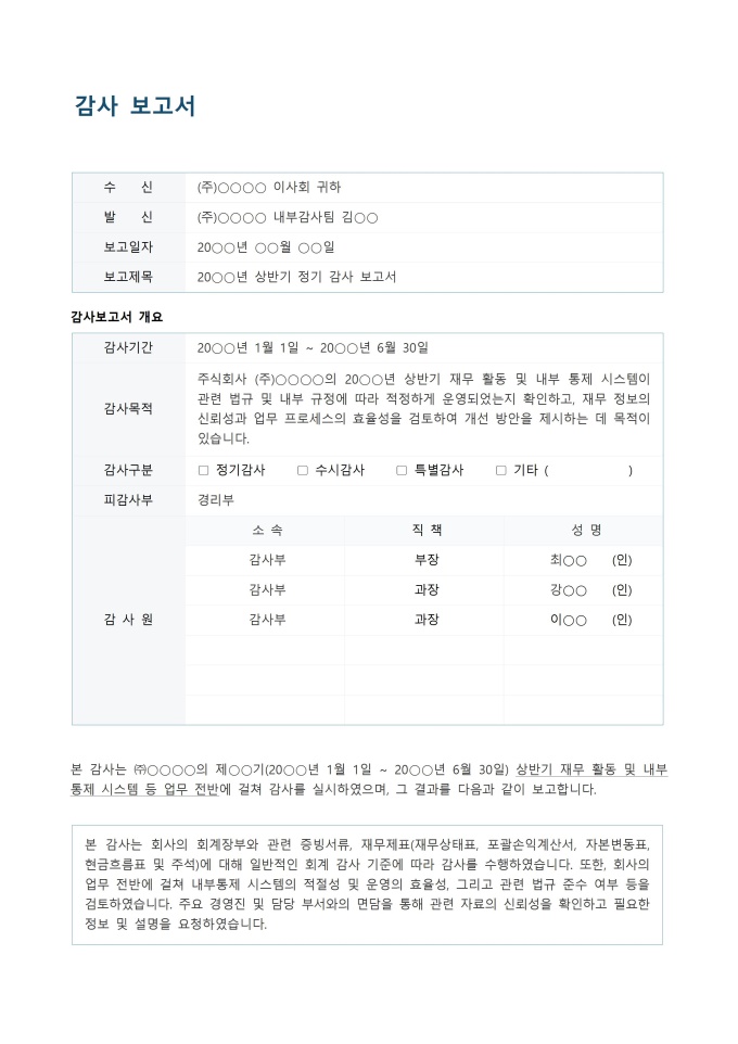감사 보고서서