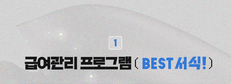 1 급여관리 프로그램 ( BEST 서식! )