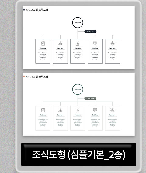 조직도형 (심플기본_2종)