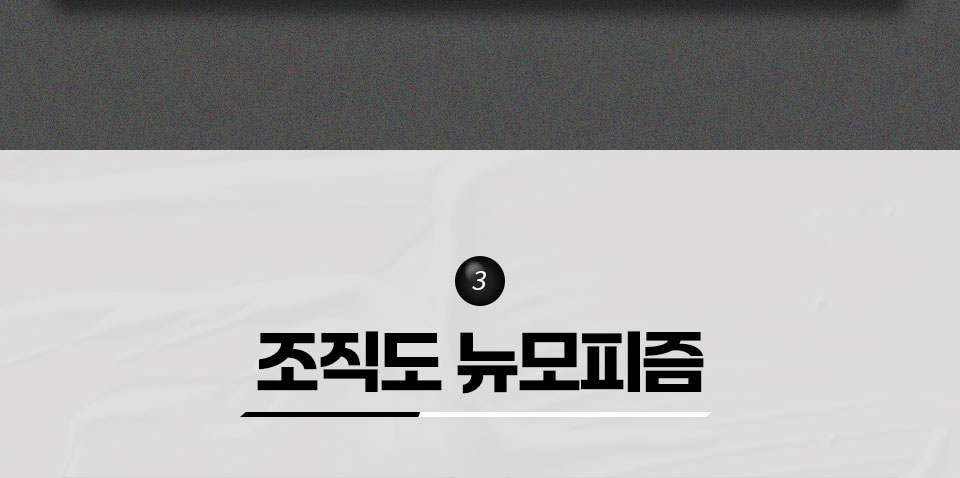 3 조직도 뉴모피즘