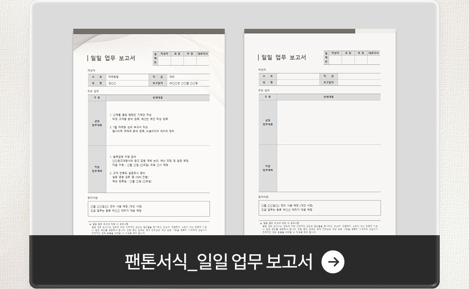 팬톤서식_일일 업무 보고서