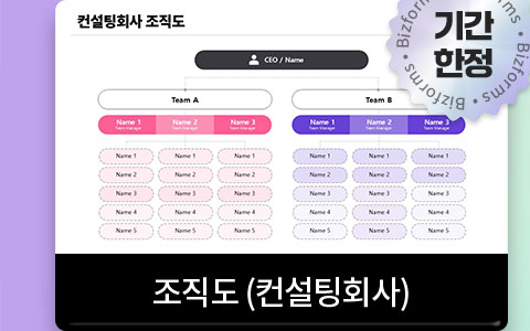 기간한정 조직도(컨설팅회사)