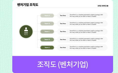 조직도 (벤처기업)